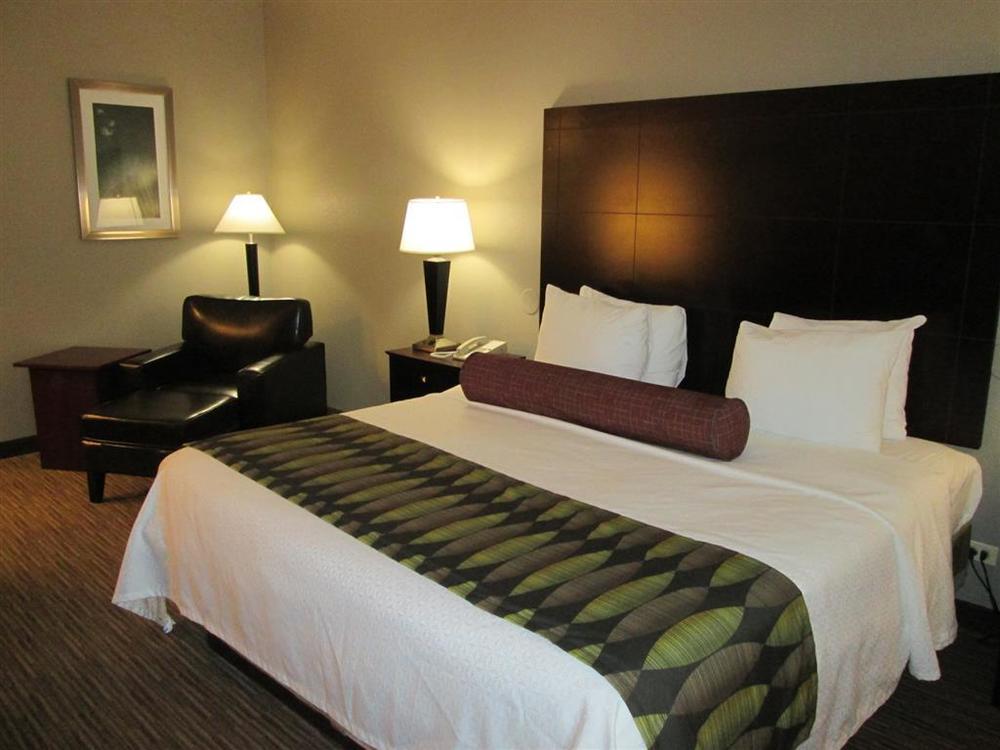 Best Western Plus O'Hare International South Hotel Franklin Park Rom bilde